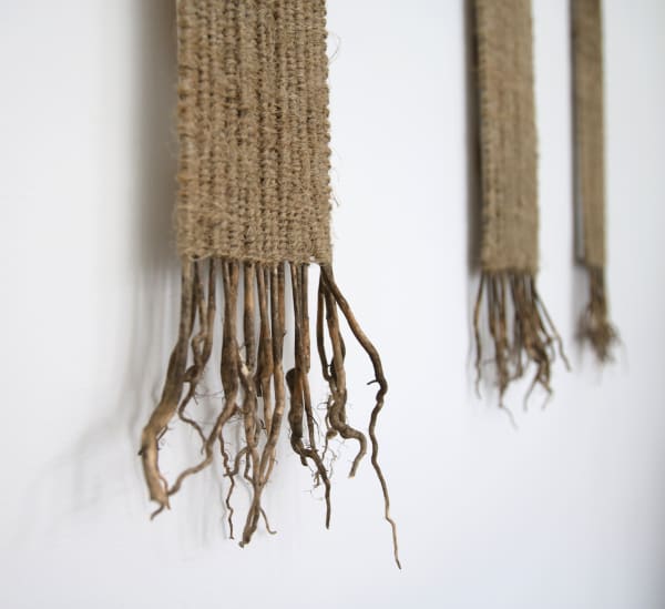 Alice Fox, Field Fragment: Flax 1