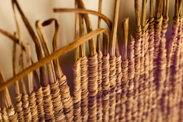 Alice Fox, Daffodil Weaves