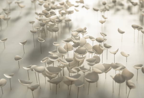 Valéria Nascimento, Drift