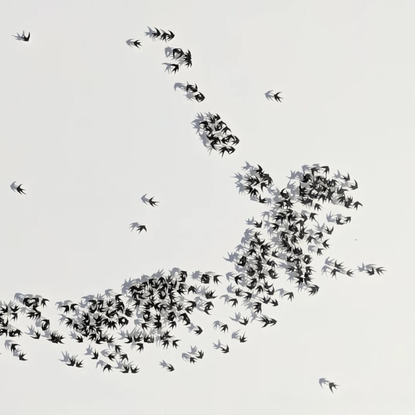 Rachel Shaw Ashton, The Beginning