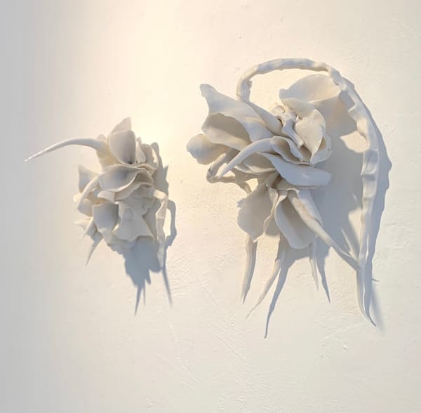 Naoko Tagai, In Search of Light