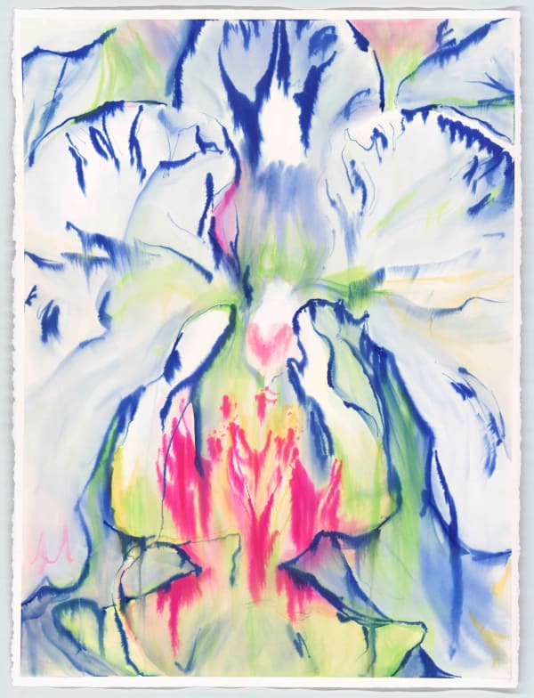 Jaki Doyka, Orchid #1 3.17.23 (Echo Park, CA USA), 2023