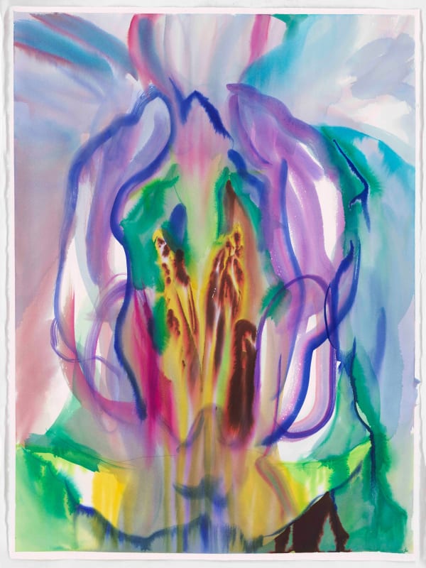 Jaki Doyka, Orchid #6 3.18.23 (Echo Park, CA USA), 2023