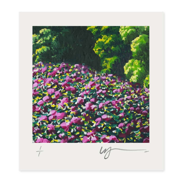 Karl Maughan, Joy of Colour #91