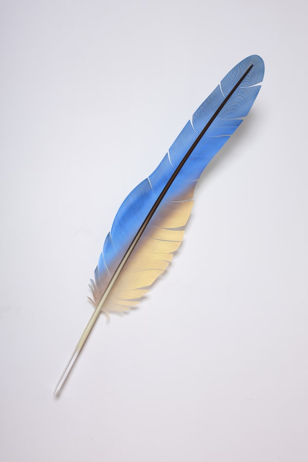 Neil Dawson, Vanity Suite. 8., 2022