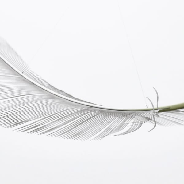 Neil Dawson, Vanity Suite. 11., 2022