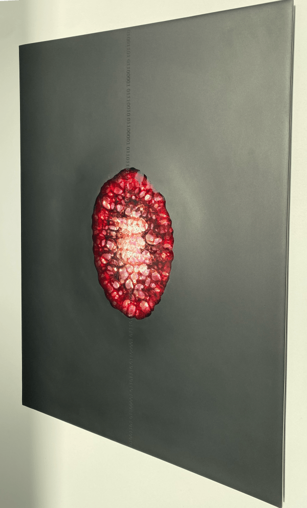 Te Rongo Kirkwood, Manawa Marama (heartbeat light), 2025