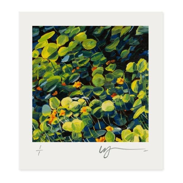 Karl Maughan, Joy of Colour #62