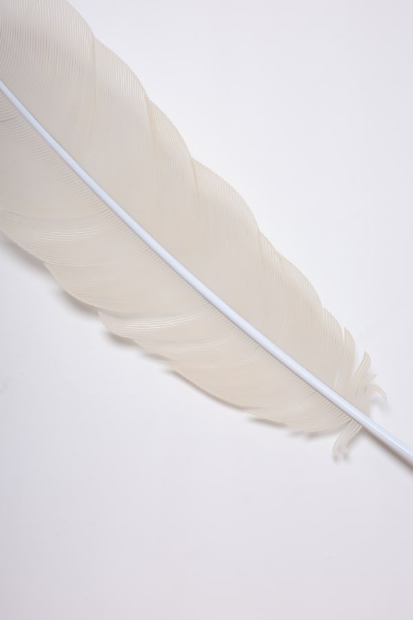 Neil Dawson, Vanity Suite. 2., 2022