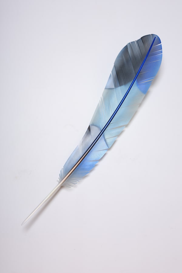 Neil Dawson, Vanity Suite. 4., 2025