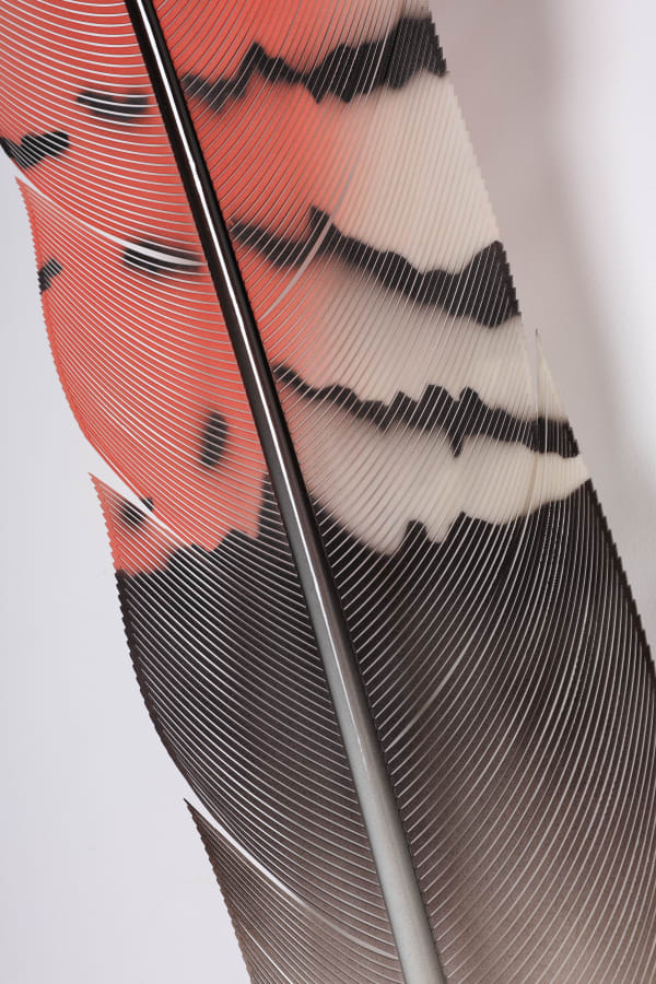 Neil Dawson, Vanity Suite. 1., 2022