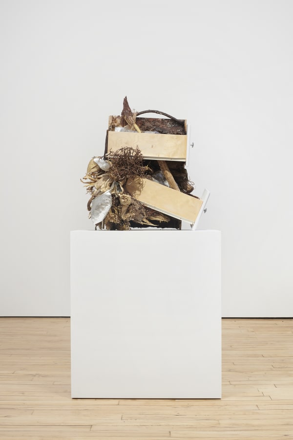 BRANDON NDIFE, Evolution of a Corn Chip, 2021