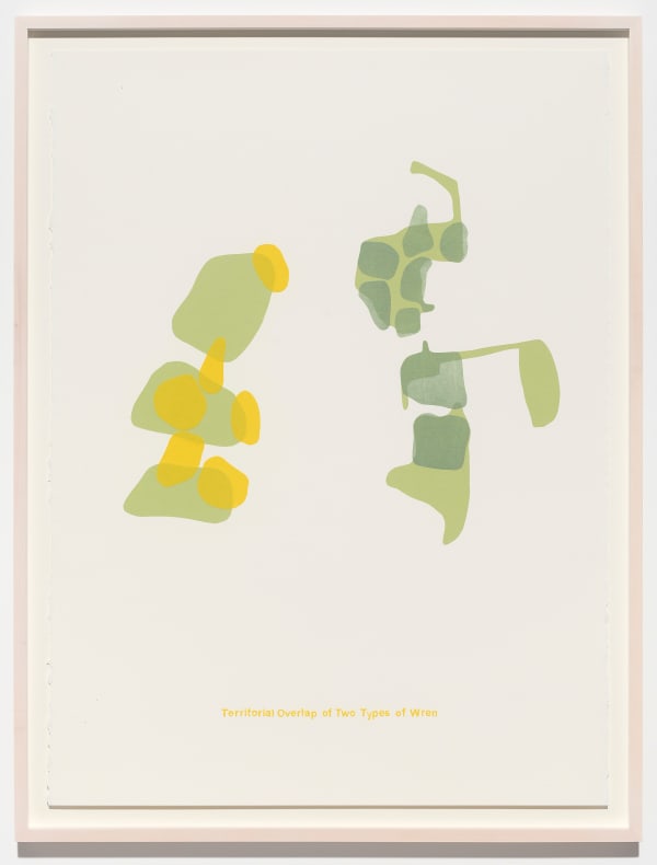 Richard Ibghy & Marilou Lemmens, Territorial Overlap of Two Types of Wren, 2022