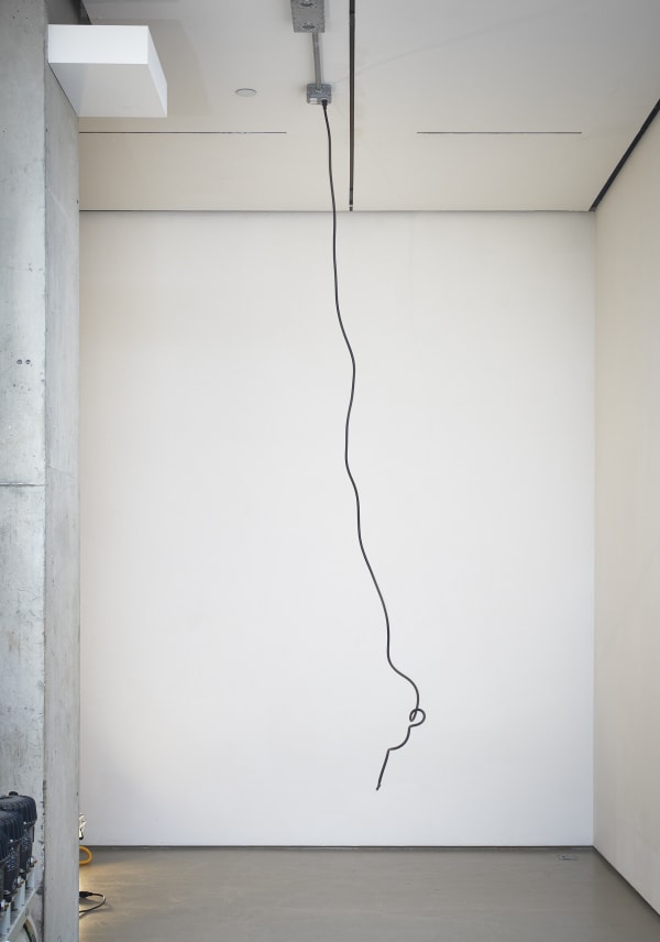 Sean Shim-Boyle, Beanstalk, 2018