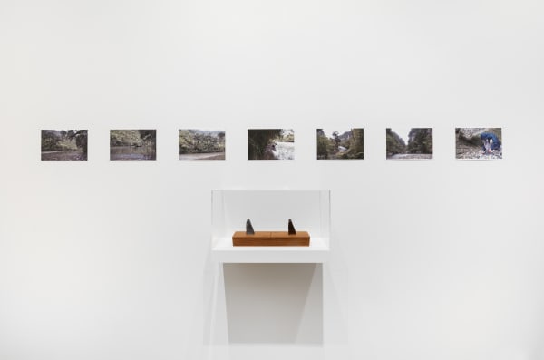 Lee Mingwei, The Stone Journey, 2010