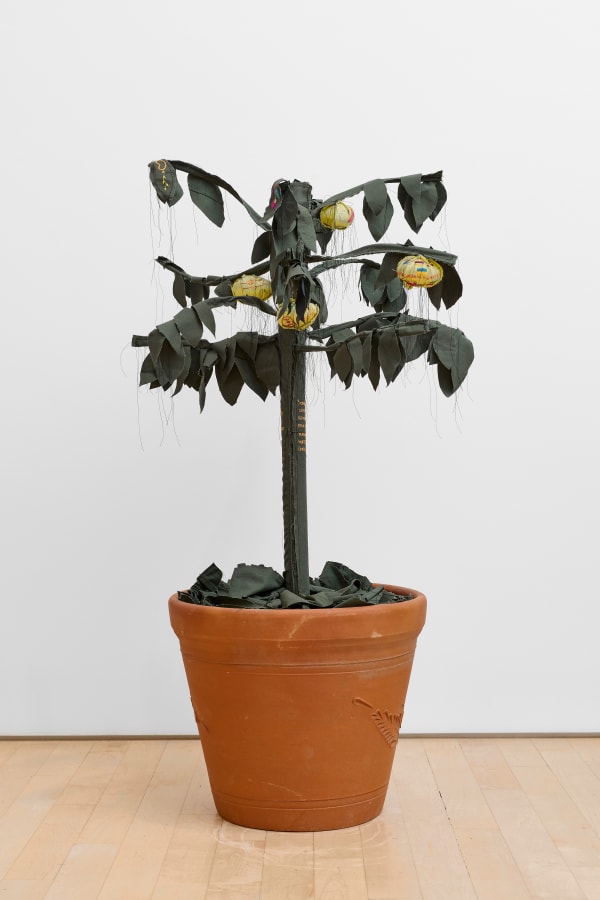 Margarita Cabrera, Space in Between - Arbol de Limon, in collaboration with M.F.D.F. (Argentina / España), 2024