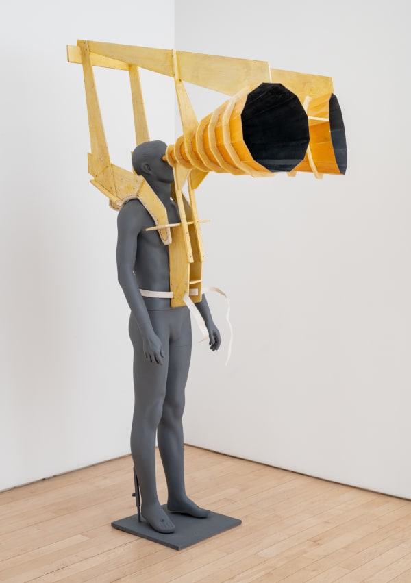 Allan Wexler, Cones of Vision, 2016