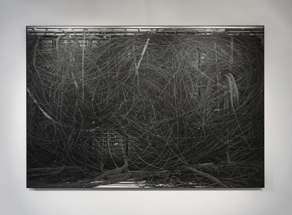 Nicolas Baier Dendrite II, 2017 Inkjet print, acrylic, steel 151.8 x 245.8 cm