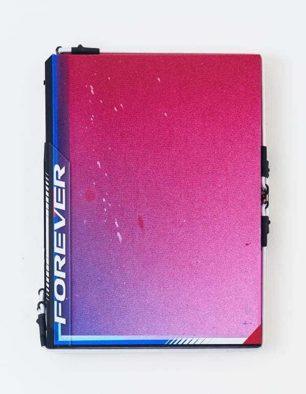 Ben Edmunds When all was lost he crossed eternity , 2023 Fabric dye and acrylic on canvas with wood and perspex frame, shock cords and carabiners 60 x 40 cm