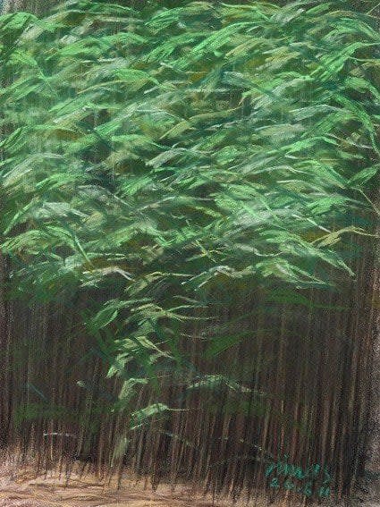 Michael Minas, Reeds looking towards the Maltings