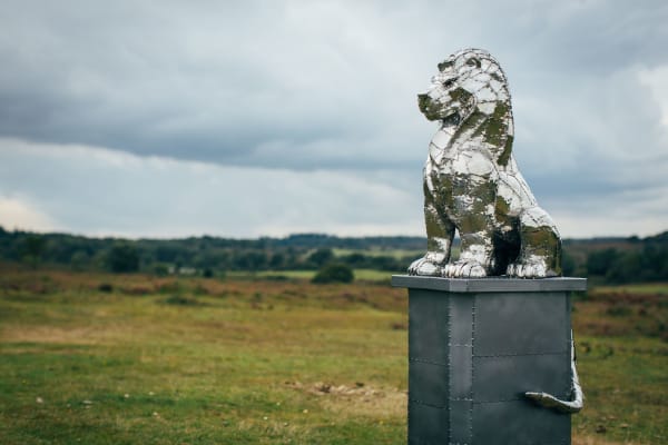 Michael Turner, Lion