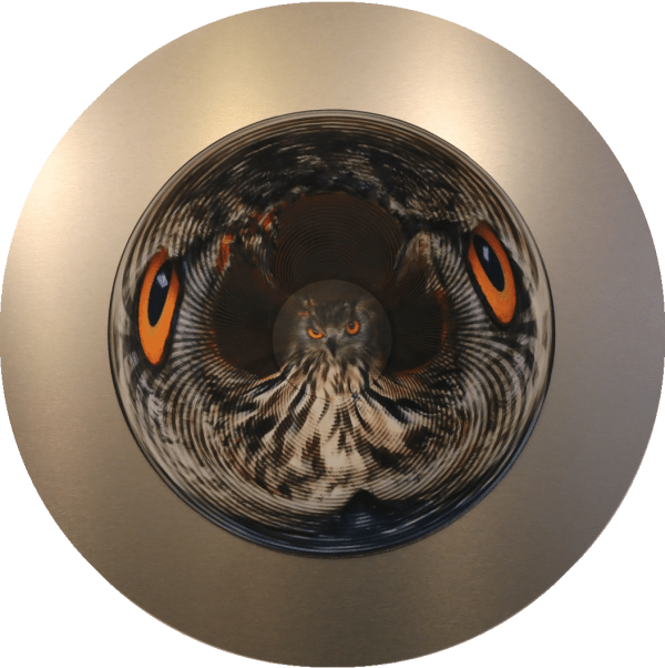 Jonty Hurwitz, Owl: I see, I see, 2020