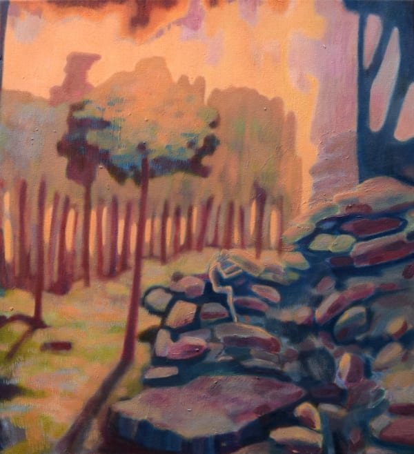 Javier Torras Casas, Lost in the woods