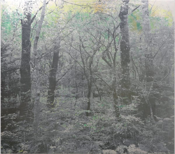 Masayoshi Nojo, Mirage #97, 2024