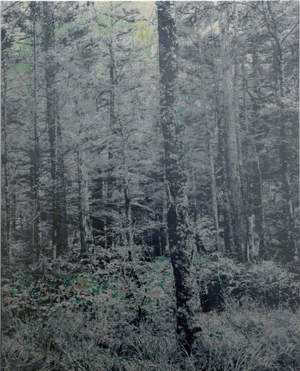 Masayoshi Nojo, Mirage #106, 2024