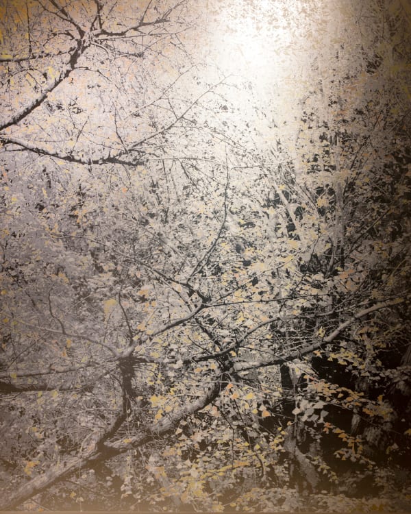 Masayoshi Nojo, Mirage #37, 2019