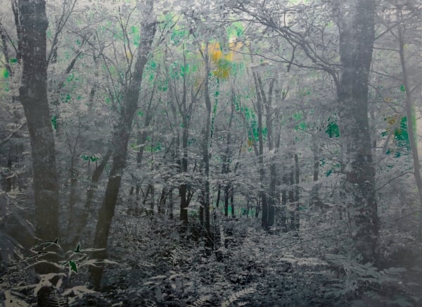 Masayoshi Nojo, Mirage #104, 2024