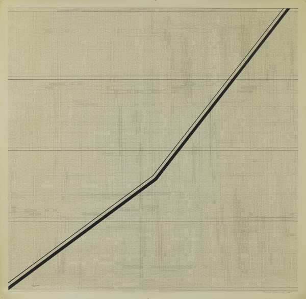 Roman Cotoșman, Parallel Differences, 1977