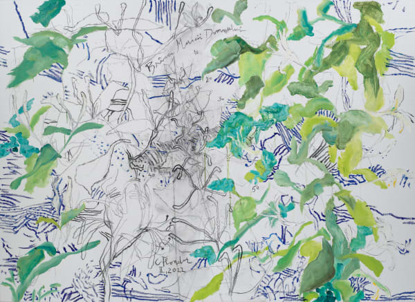 Constantin Flondor, Branca Maicii Domnului, 2022