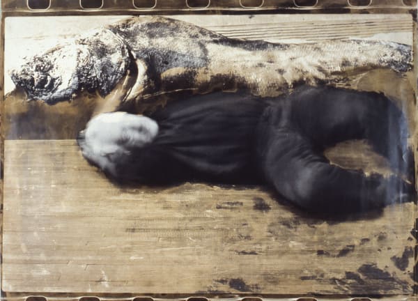 Iosif Király, 1990