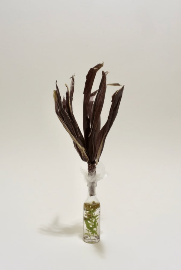 Armando Cortes, Untitled Poison, 2022