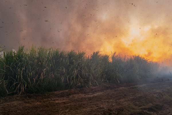 Adrian Burrell, The Changing Same, 2022