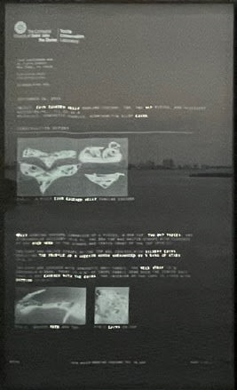 Emily Velez Nelms, Coins and Pearls Over Julia Tuttle Causeway, 2022