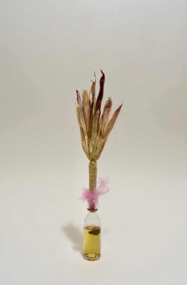 Armando Cortes, Untitled Remedy, 2022