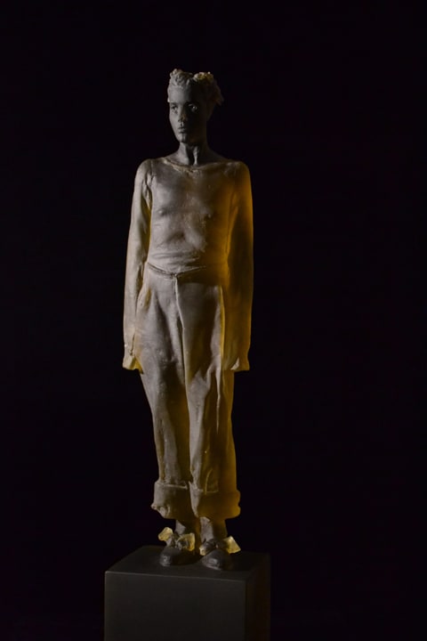 Nicolas Africano, Girl with long sleeves, 2014