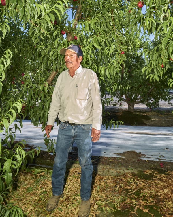 Wesaam Al-Badry, The Boss, 2020