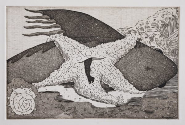 Alex Jackson, The Landing of E (Asteroidea), 2023
