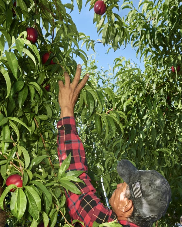 Wesaam Al-Badry, The Dream, 2020