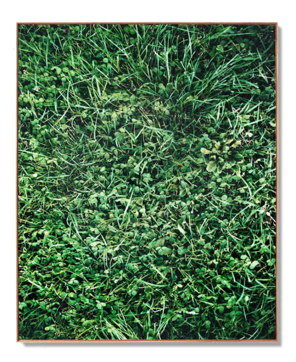 Timotheus Tomicek, Hit or Miss, 2013