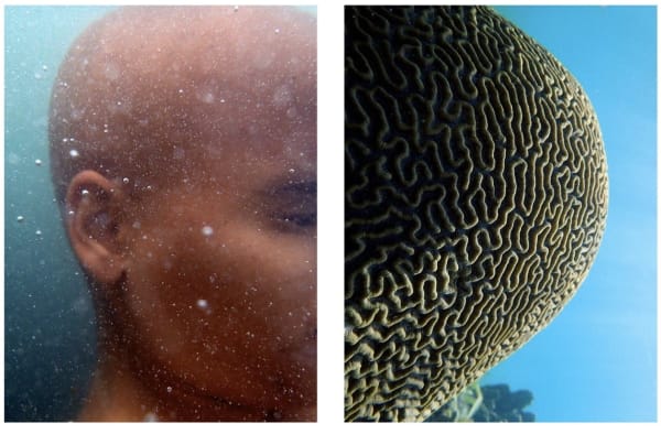 Nadia Huggins, Transformations No.4, 2015