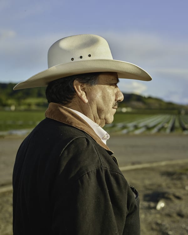 Wesaam Al-Badry, Mr. Francisco #IV, 2020