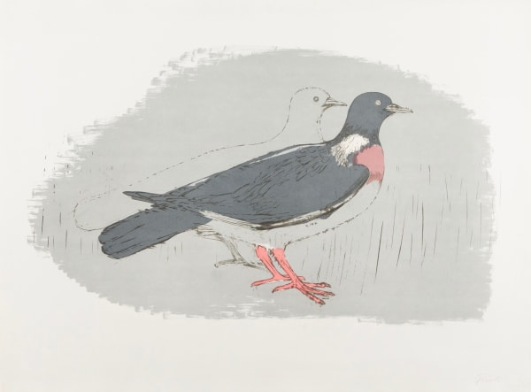 Elisabeth Frink, Wood Pigeon, 1967