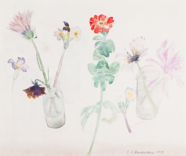 Summer Flowers