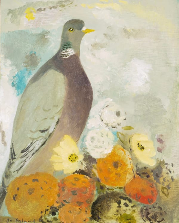 Pigeon Perching Above the Dahlias