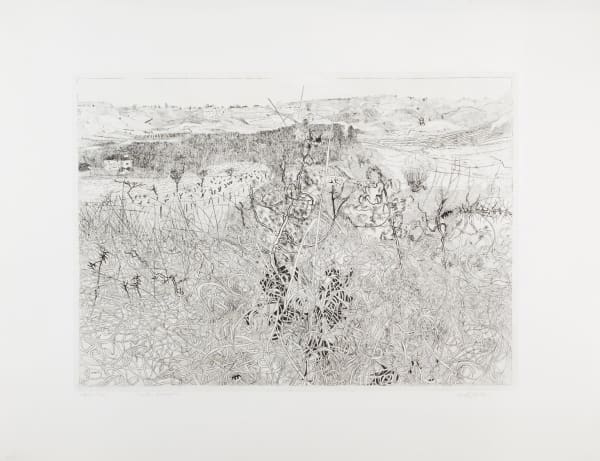 Anthony Gross, Winter Grasses, 1972