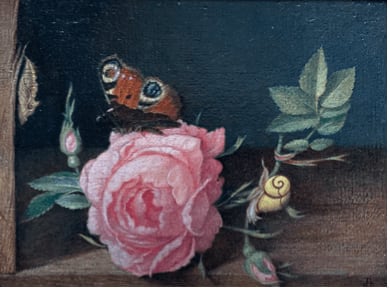 Maxwell Ashby Armfield, Rose and Butterfly